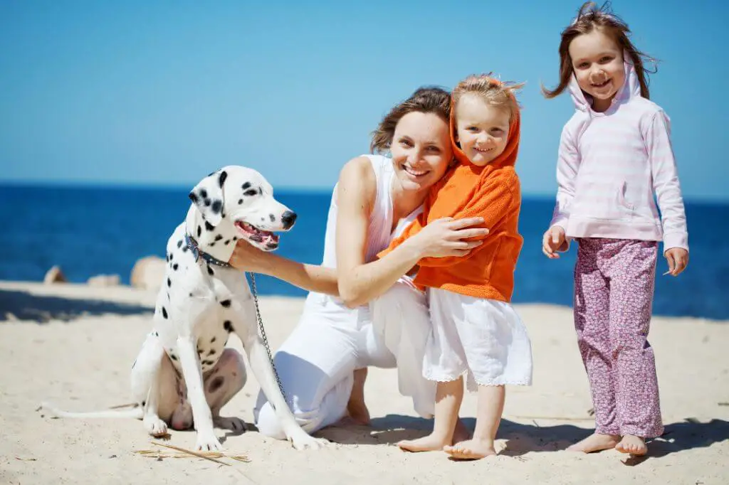 are dalmatian good with kids