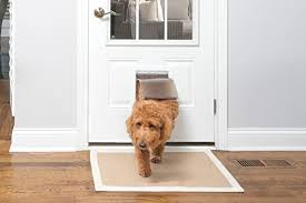 A dog passing through a pet door.