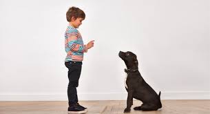 Children training dog