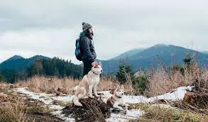 Hike with your Husky